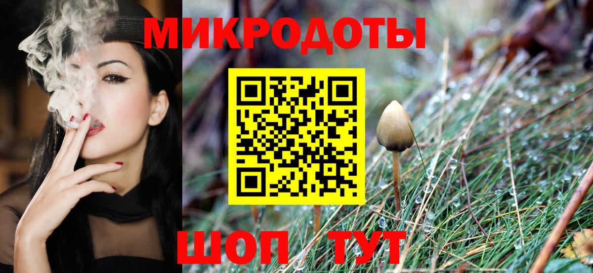 Псилоцибиновые грибы мицелий Нижний Новгород